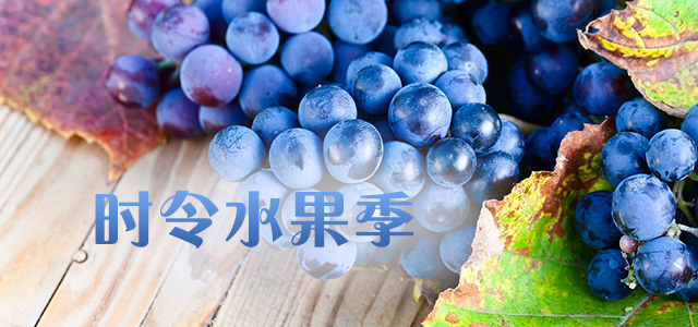 时令水果